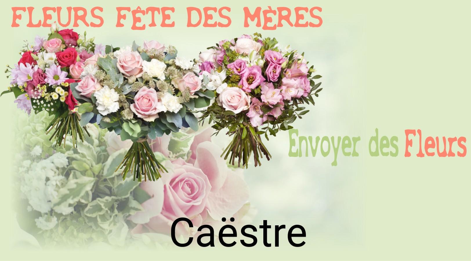 Bouquet de Fête des Mères livré à Caëstre